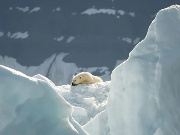 BLOG Hydro circal BLOG Hydro circal